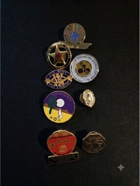 Pins / Vintage Optimist Club & Women's Institute Enamel Lapel Pin Lot (8 Pins)